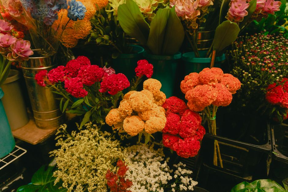 A vibrant display of fresh flowers arranged in a florist shop, featuring clusters of bright red, peach, and pink carnations with ruffled petals, surrounded by white and green filler blossoms. The flow